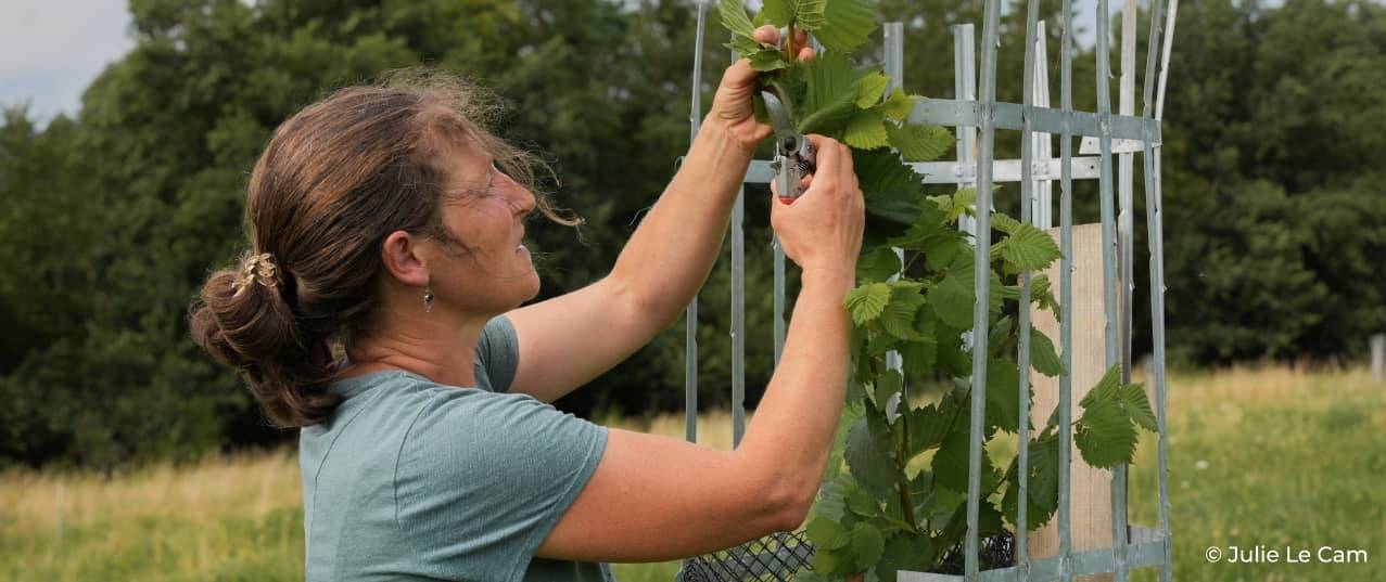 Mujer podando una planta