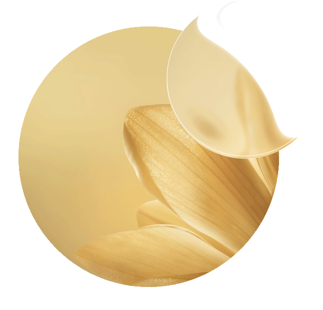 Enfoque en la Milenrama