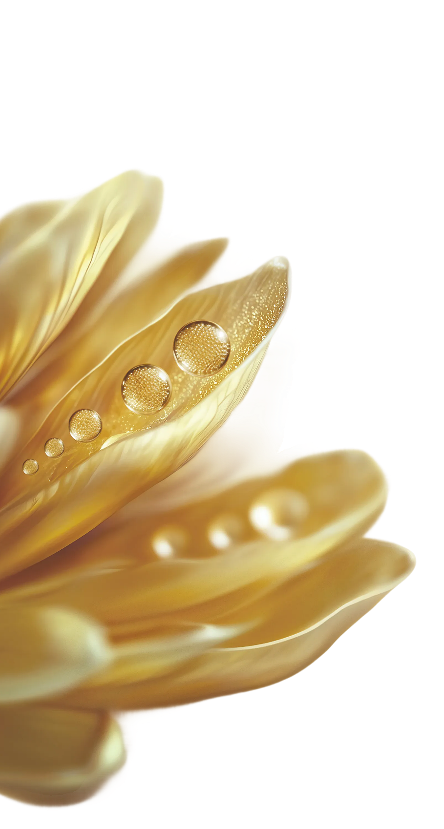 Flor Milenrama Dorada