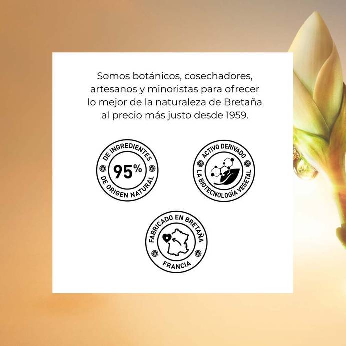 Tratamiento Supremo Regenerante