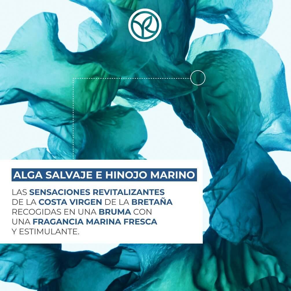 Refill Gel de ducha Alga Salvaje & Hinojo Marino