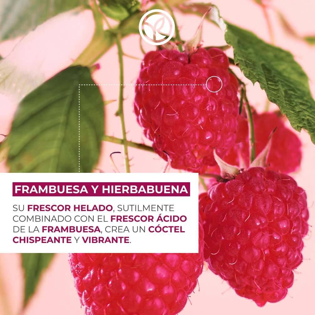 Refill Gel de ducha Frambuesa & Hierbabuena