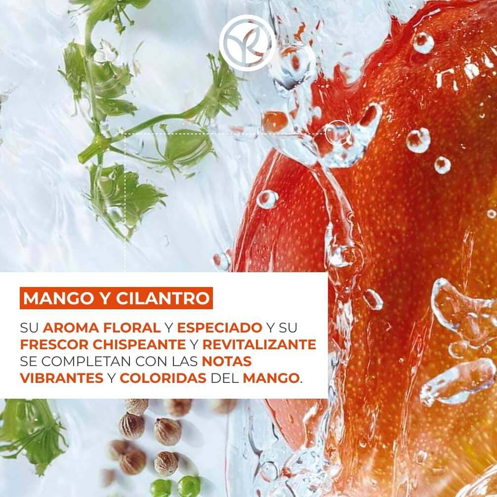 Refill Gel de ducha Mango & Cilantro