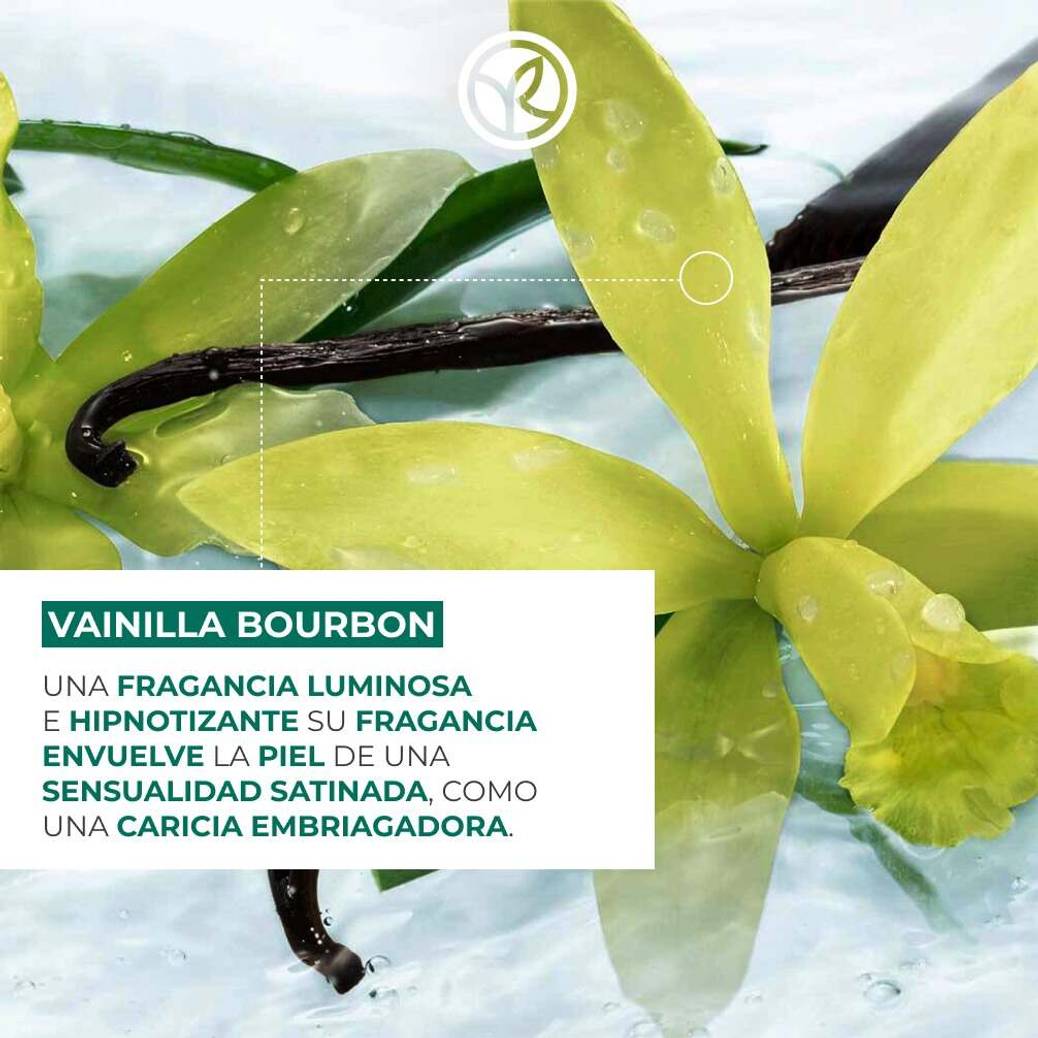 Refill Gel de ducha Vainilla Bourbon