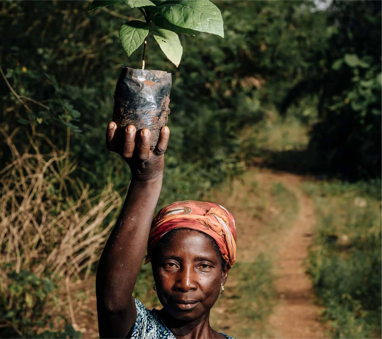 Mujer que lleva un retoño de árbol