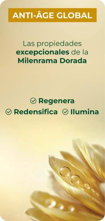 anti-age gloval brote de syringa