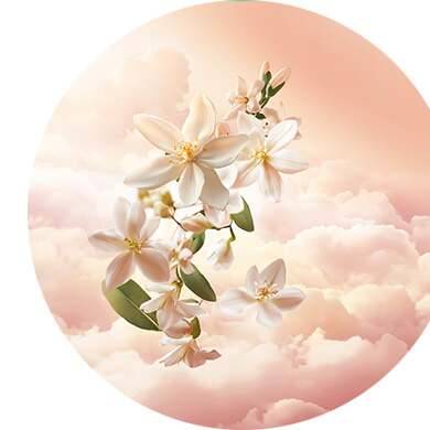 Bergamota, neroli, flor de azahar