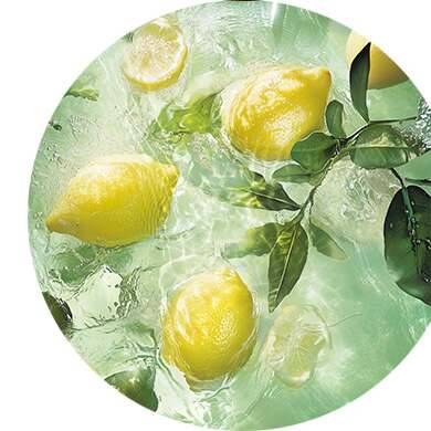 Limón, rosa, té negro