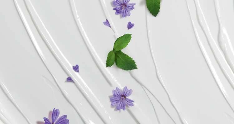 Belleza para mis pies con la Lavanda francesa