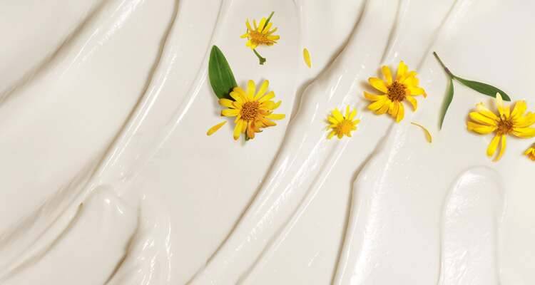 Los beneficios del Árnica Bio de Francia