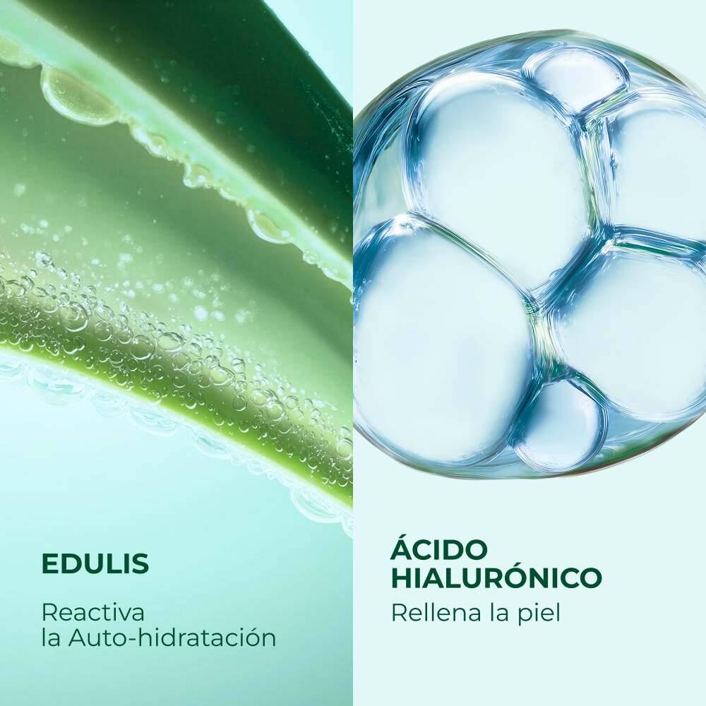 Gel Crema Hidratante