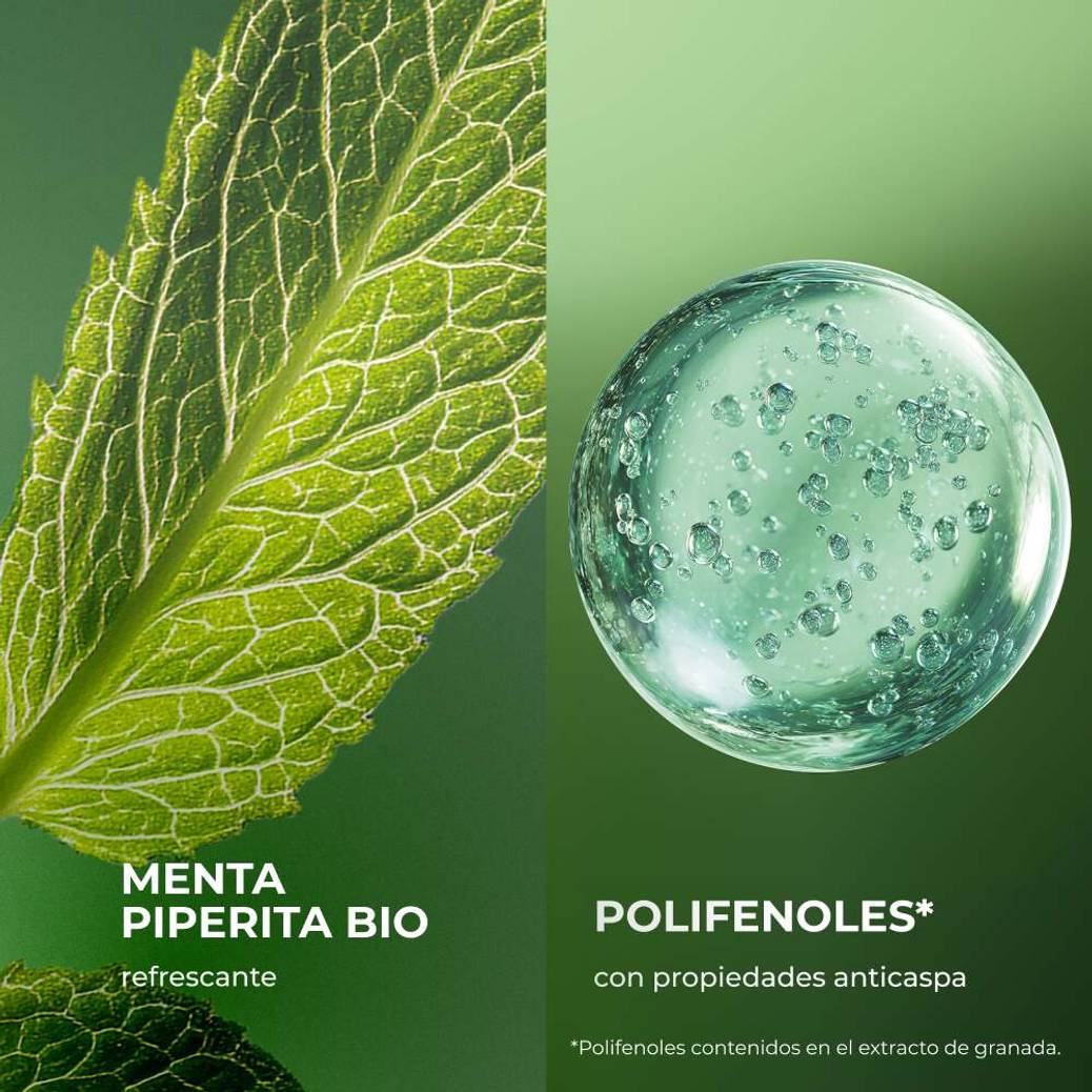 Recarga Champú Anticaspa 600ml
