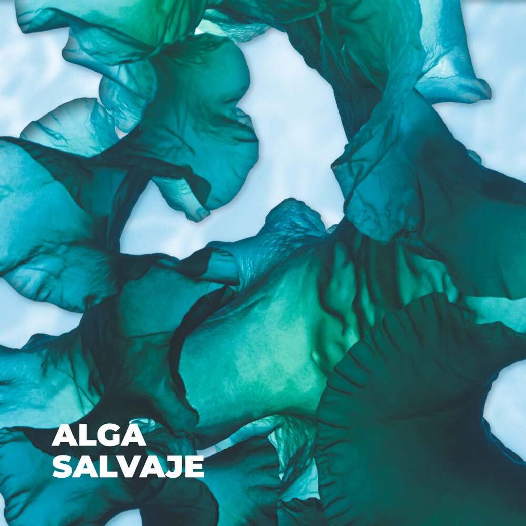 Gel de Ducha Alga Salvaje & Hinojo Marino