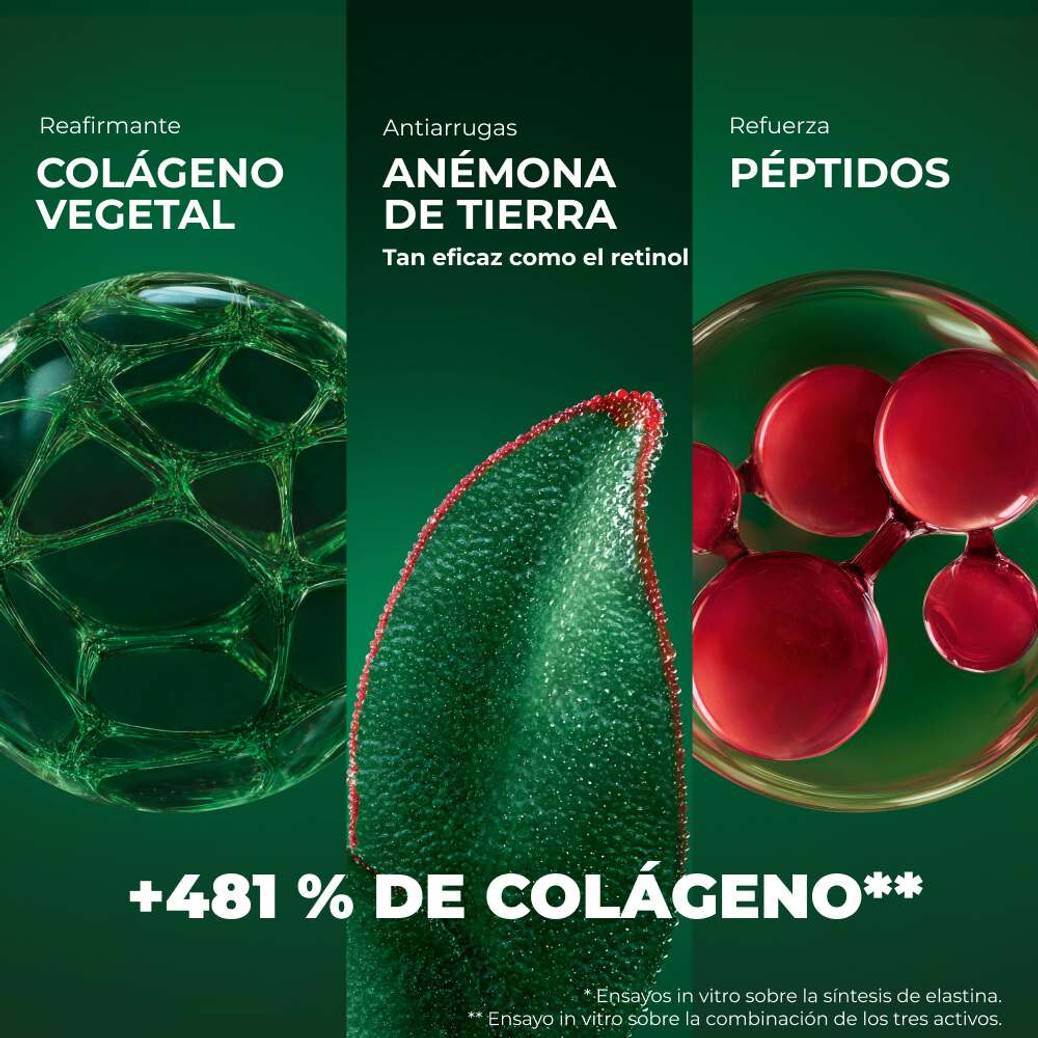 Sérum Alisador Antiarrugas